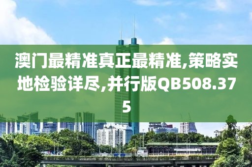 澳门最精准真正最精准,策略实地检验详尽,并行版QB508.375
