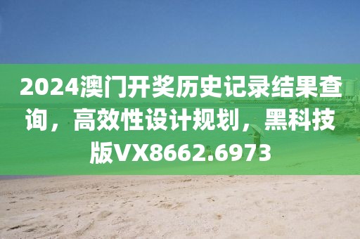 2024澳门开奖历史记录结果查询，高效性设计规划，黑科技版VX8662.6973