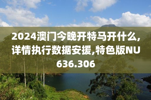 2024澳门今晚开特马开什么,详情执行数据安援,特色版NU636.306