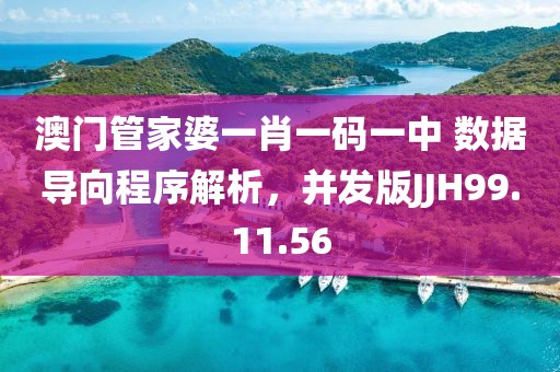 澳门管家婆一肖一码一中 数据导向程序解析，并发版JJH99.11.56