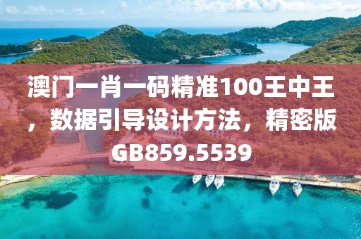 澳门一肖一码精准100王中王，数据引导设计方法，精密版GB859.5539