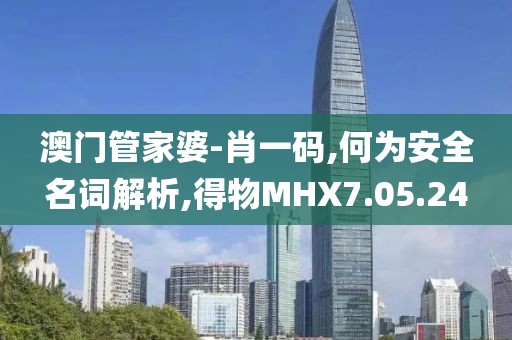 澳门管家婆-肖一码,何为安全名词解析,得物MHX7.05.24