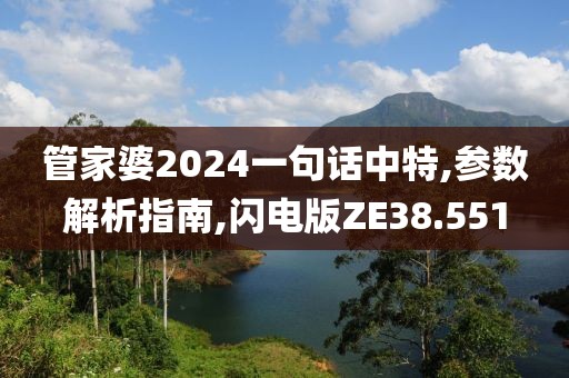管家婆2024一句话中特,参数解析指南,闪电版ZE38.551