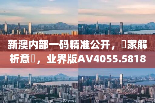 新澳内部一码精准公开，專家解析意見，业界版AV4055.5818