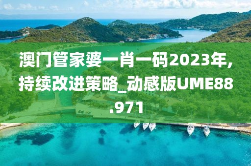 澳门管家婆一肖一码2023年,持续改进策略_动感版UME88.971