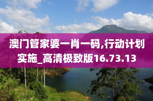 澳门管家婆一肖一码,行动计划实施_高清极致版16.73.13