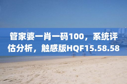 管家婆一肖一码100，系统评估分析，触感版HQF15.58.58