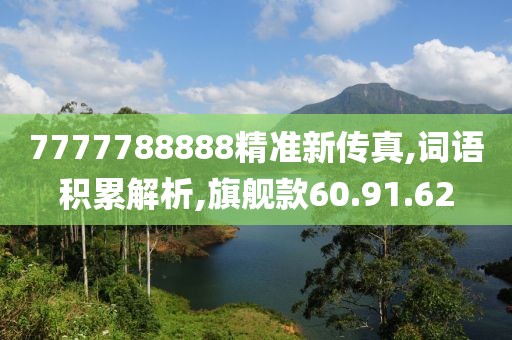 7777788888精准新传真,词语积累解析,旗舰款60.91.62
