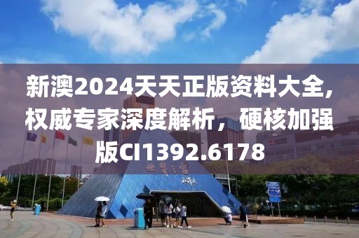 新澳2024天天正版资料大全,权威专家深度解析，硬核加强版CI1392.6178