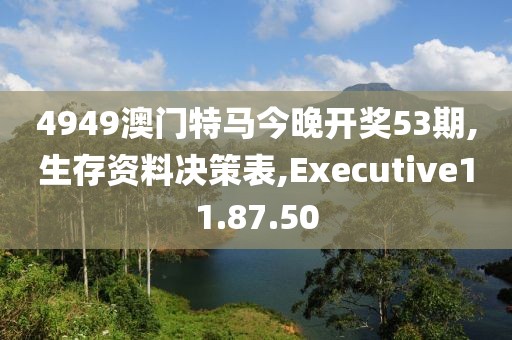 4949澳门特马今晚开奖53期,生存资料决策表,Executive11.87.50