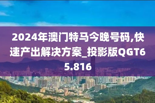2024年澳门特马今晚号码,快速产出解决方案_投影版QGT65.816
