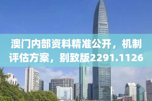 澳门内部资料精准公开，机制评估方案，别致版2291.1126