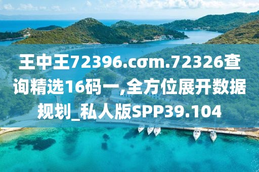 王中王72396.cσm.72326查询精选16码一,全方位展开数据规划_私人版SPP39.104