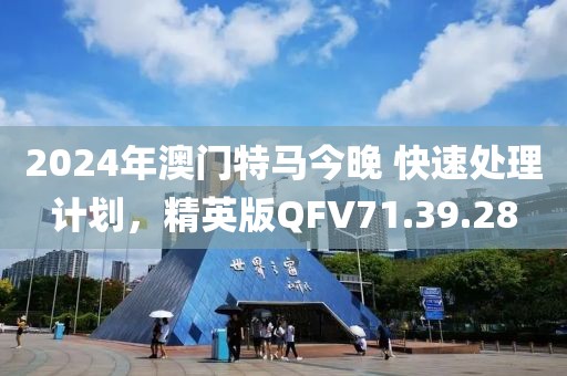 2024年澳门特马今晚 快速处理计划，精英版QFV71.39.28