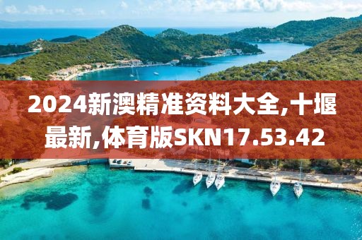 2024新澳精准资料大全,十堰 最新,体育版SKN17.53.42