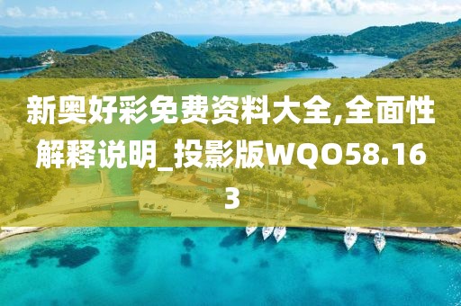 新奥好彩免费资料大全,全面性解释说明_投影版WQO58.163