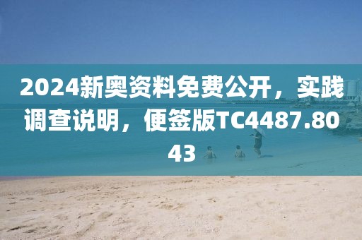 2024新奥资料免费公开，实践调查说明，便签版TC4487.8043
