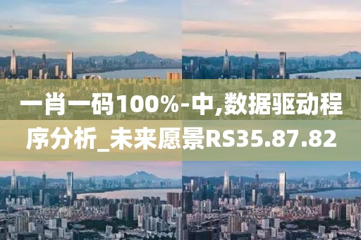 一肖一码100%-中,数据驱动程序分析_未来愿景RS35.87.82