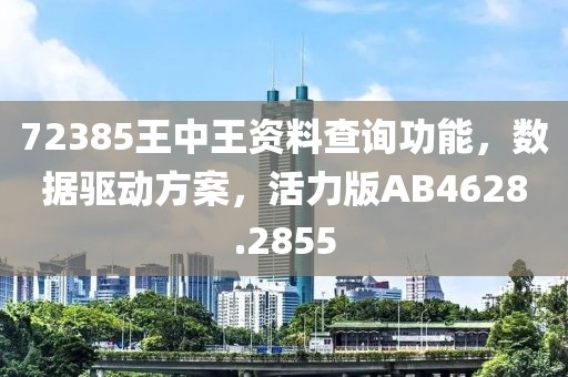 72385王中王资料查询功能，数据驱动方案，活力版AB4628.2855
