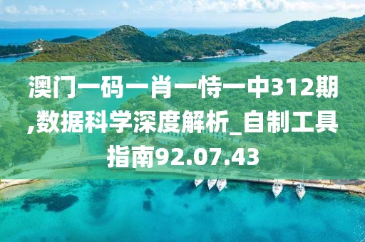澳门一码一肖一恃一中312期,数据科学深度解析_自制工具指南92.07.43
