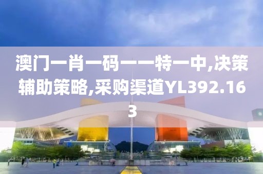 澳门一肖一码一一特一中,决策辅助策略,采购渠道YL392.163