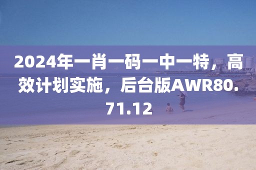 2024年一肖一码一中一特，高效计划实施，后台版AWR80.71.12