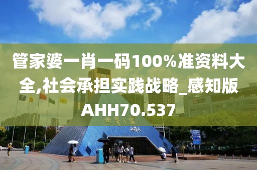 管家婆一肖一码100%准资料大全,社会承担实践战略_感知版AHH70.537