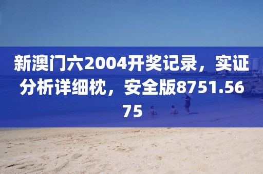 新澳门六2004开奖记录，实证分析详细枕，安全版8751.5675
