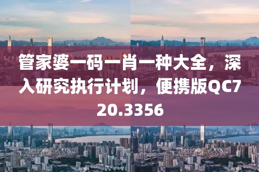管家婆一码一肖一种大全，深入研究执行计划，便携版QC720.3356