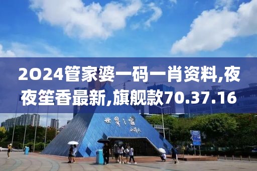 2O24管家婆一码一肖资料,夜夜笙香最新,旗舰款70.37.16