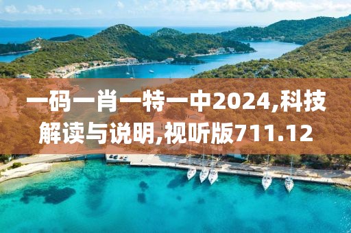 一码一肖一特一中2024,科技解读与说明,视听版711.12