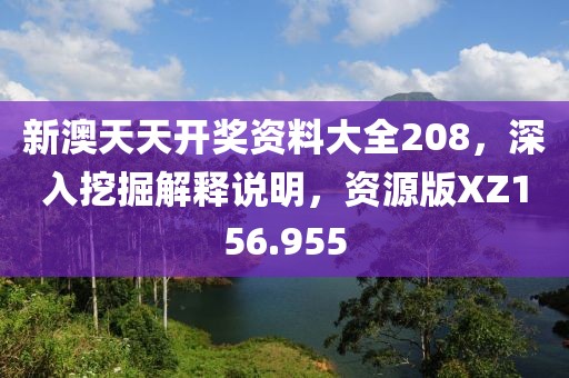 新澳天天开奖资料大全208，深入挖掘解释说明，资源版XZ156.955