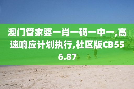 澳门管家婆一肖一码一中一,高速响应计划执行,社区版CB556.87