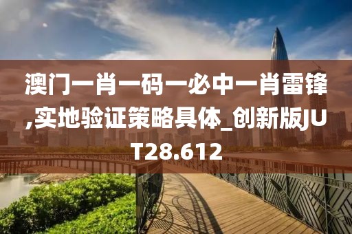 澳门一肖一码一必中一肖雷锋,实地验证策略具体_创新版JUT28.612