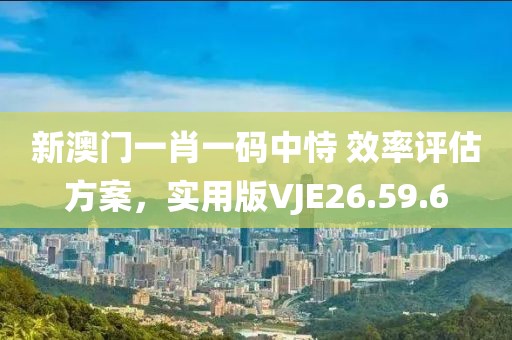 新澳门一肖一码中恃 效率评估方案，实用版VJE26.59.6