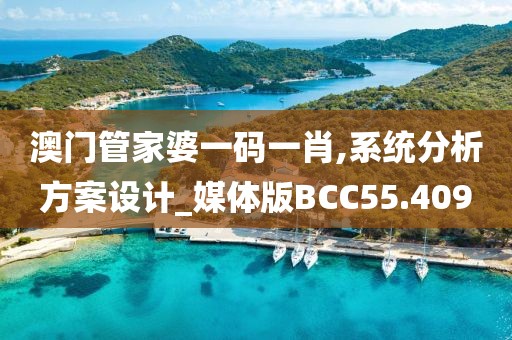澳门管家婆一码一肖,系统分析方案设计_媒体版BCC55.409