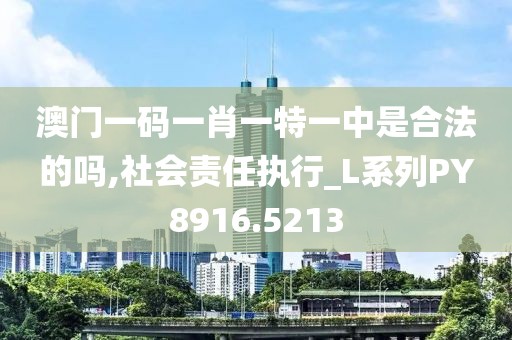 澳门一码一肖一特一中是合法的吗,社会责任执行_L系列PY8916.5213