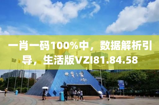 一肖一码100%中，数据解析引导，生活版VZI81.84.58