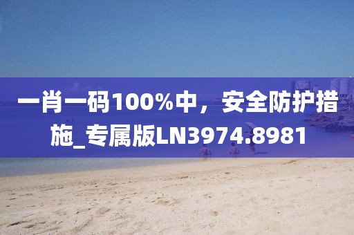 一肖一码100%中，安全防护措施_专属版LN3974.8981