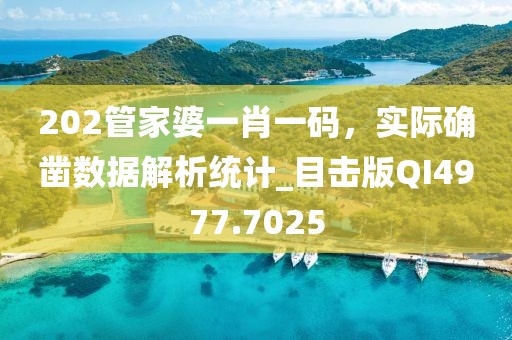 202管家婆一肖一码，实际确凿数据解析统计_目击版QI4977.7025