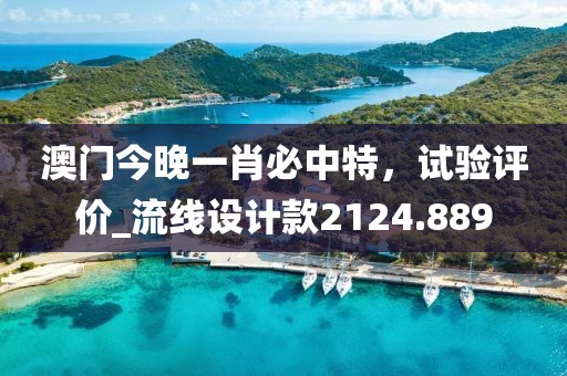 澳门今晚一肖必中特，试验评价_流线设计款2124.889