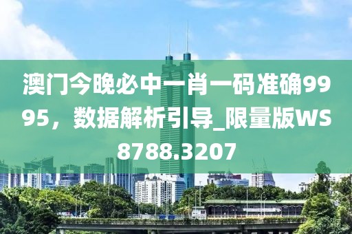 澳门今晚必中一肖一码准确9995，数据解析引导_限量版WS8788.3207