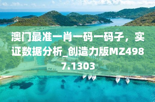 澳门最准一肖一码一码孑，实证数据分析_创造力版MZ4987.1303
