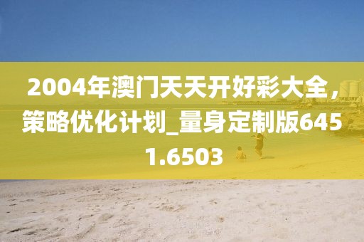 2004年澳门天天开好彩大全，策略优化计划_量身定制版6451.6503