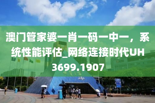 澳门管家婆一肖一码一中一，系统性能评估_网络连接时代UH3699.1907