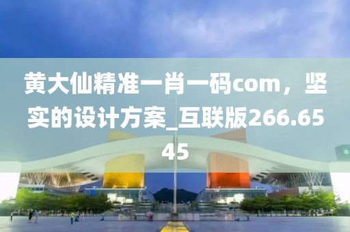 黄大仙精准一肖一码com，坚实的设计方案_互联版266.6545