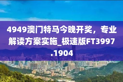 4949澳门特马今晚开奖，专业解读方案实施_极速版FT3997.1904