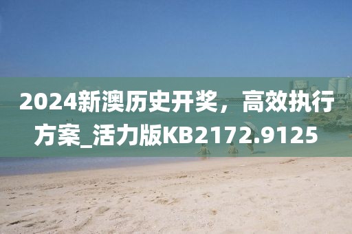 2024新澳历史开奖，高效执行方案_活力版KB2172.9125