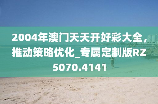 2004年澳门天天开好彩大全，推动策略优化_专属定制版RZ5070.4141