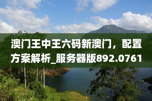 澳门王中王六码新澳门，配置方案解析_服务器版892.0761